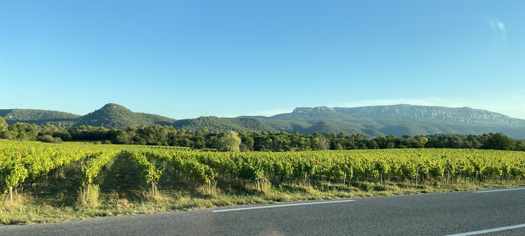 Wijngaarden rond Nans-les-Pins in het najaar, met de Sainte-Baume op de achtergrond