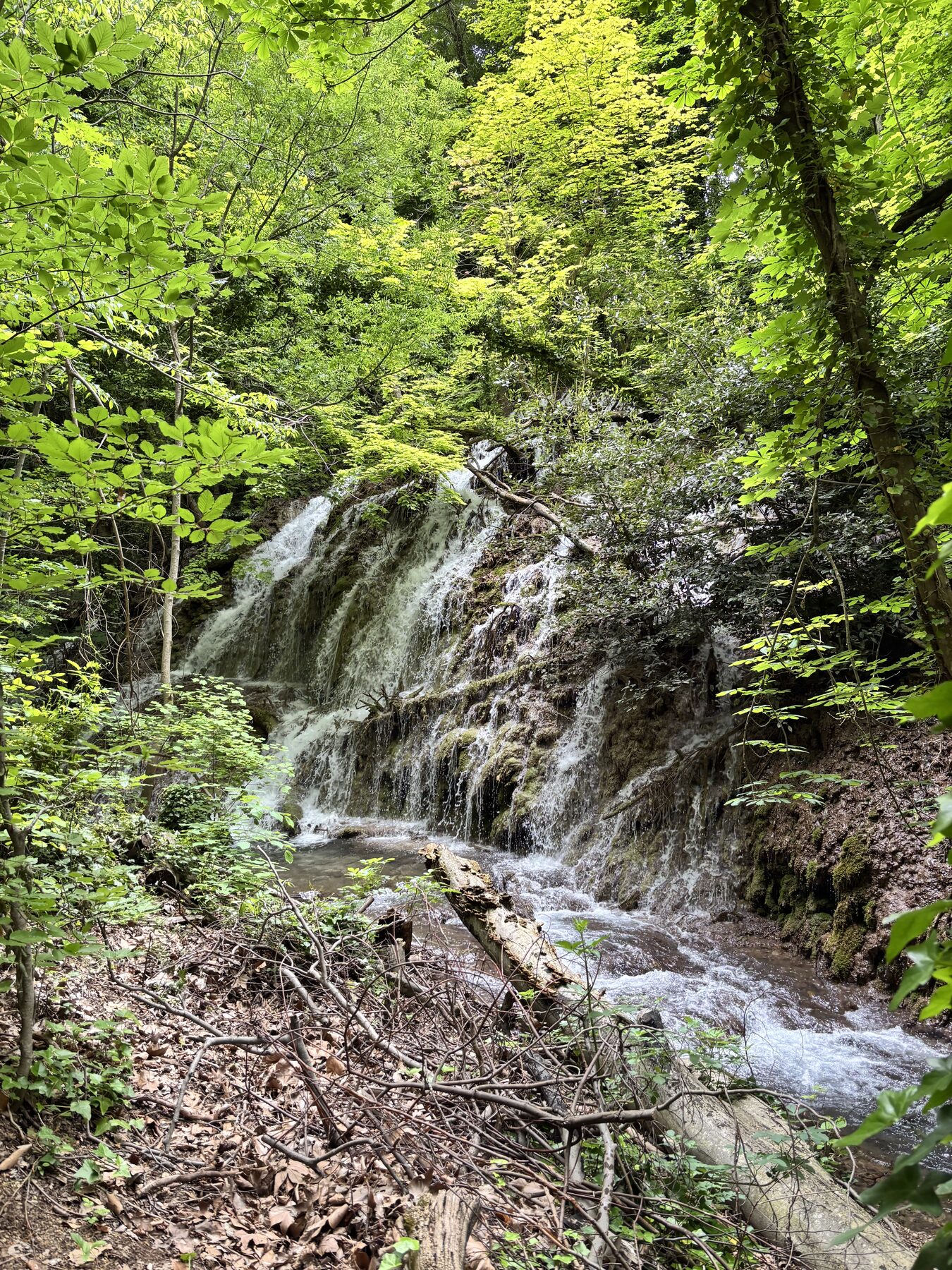 De bemoste cascade in het Parc de Saint-Pons bij Gémenos